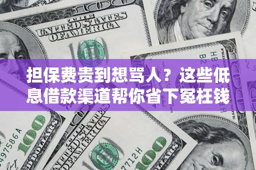 济南担保费贵到想骂人？这些低息借款渠道帮你省下冤枉钱