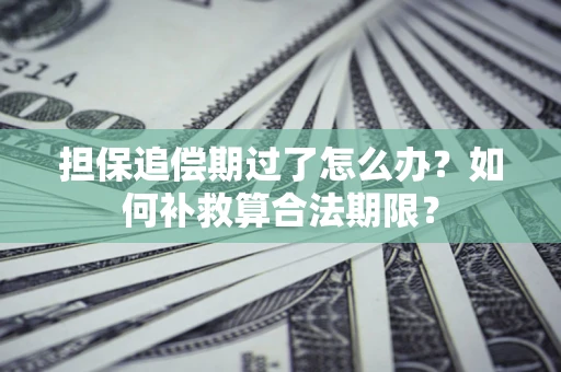 济南担保追偿期过了怎么办？如何补救算合法期限？
